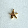 Starfish Charm