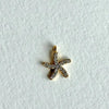 White Star Charm