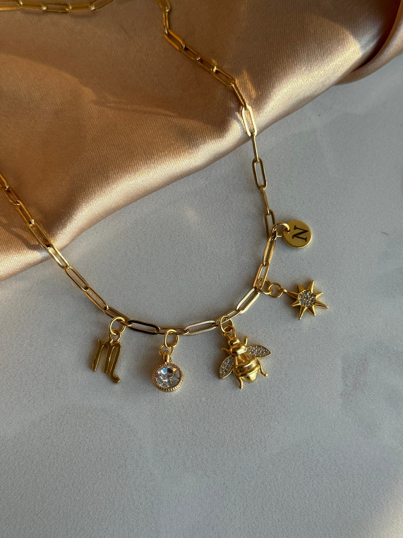 Zodiac Sign Special Charm Necklace