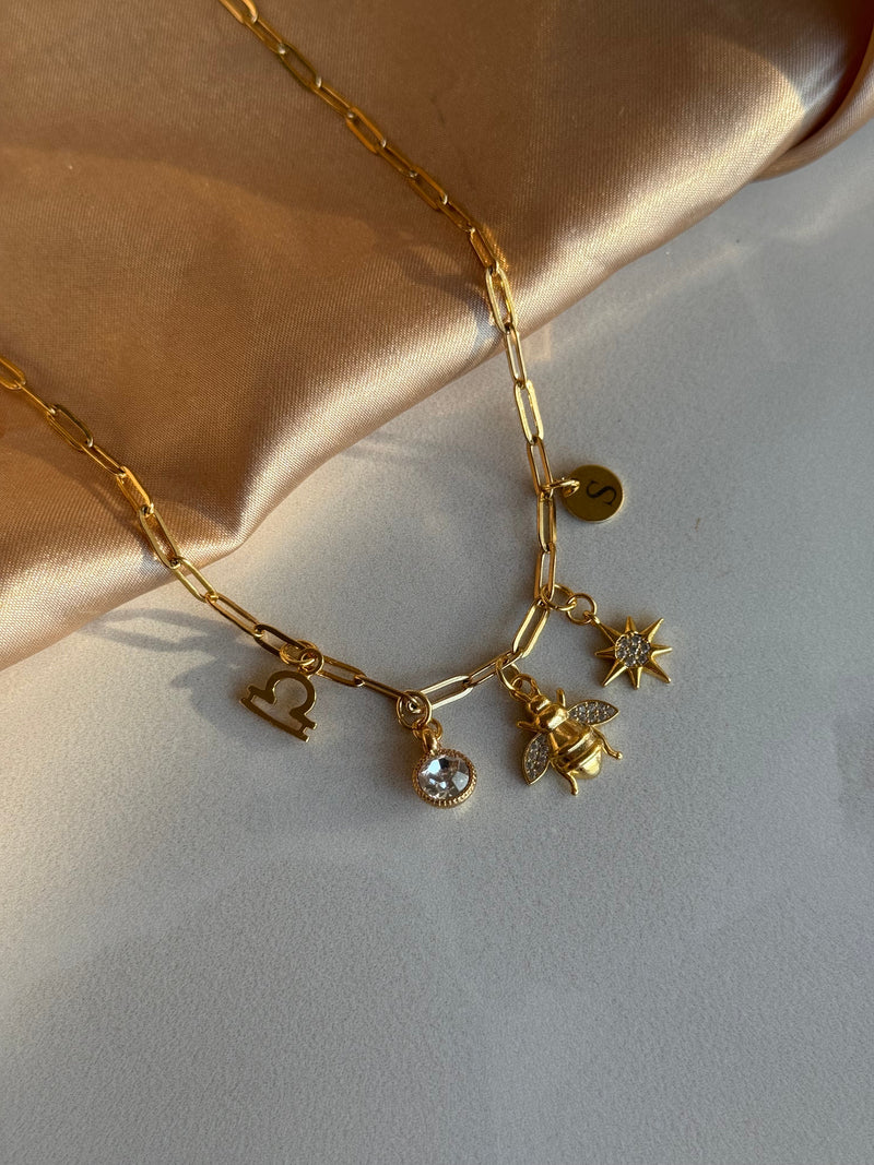 Zodiac Sign Special Charm Necklace