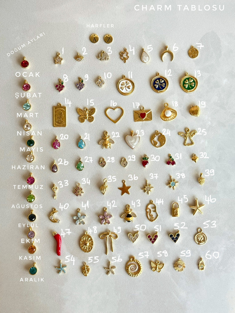 Design Charm Earrings