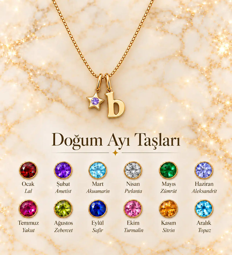 925 Sterling Silver | Mini Star Birthstone Initial Necklace