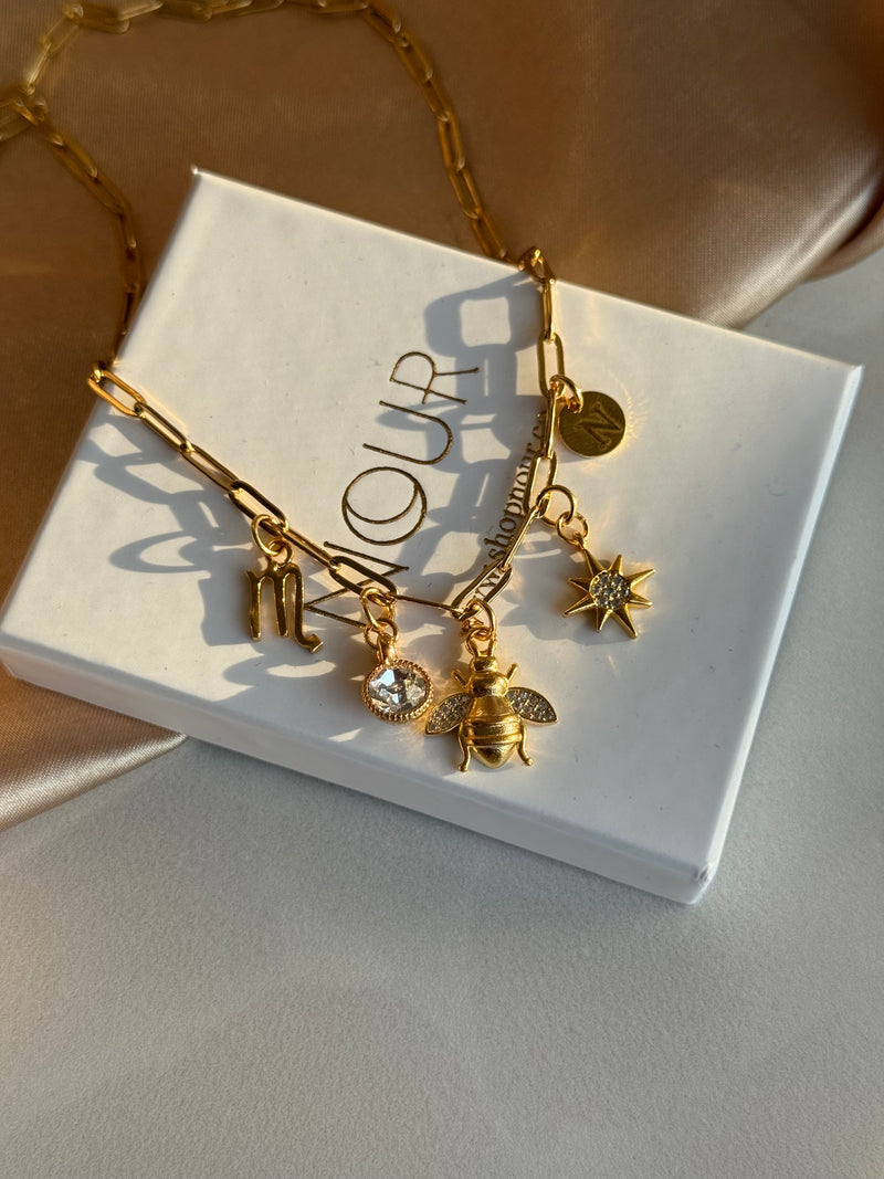 Zodiac Sign Special Charm Necklace