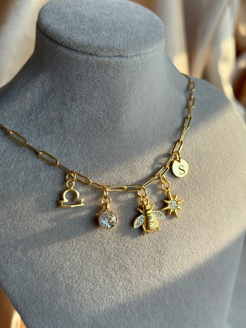 Zodiac Sign Special Charm Necklace