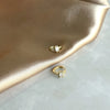 No. 13 Earrings - 14K Gold-Tone Collection