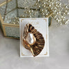 Pearl Seashell Brooch
