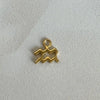 Aquarius Charm