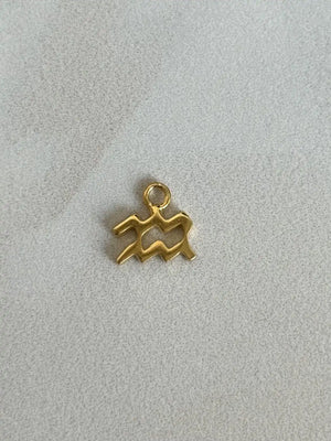 Aquarius Charm