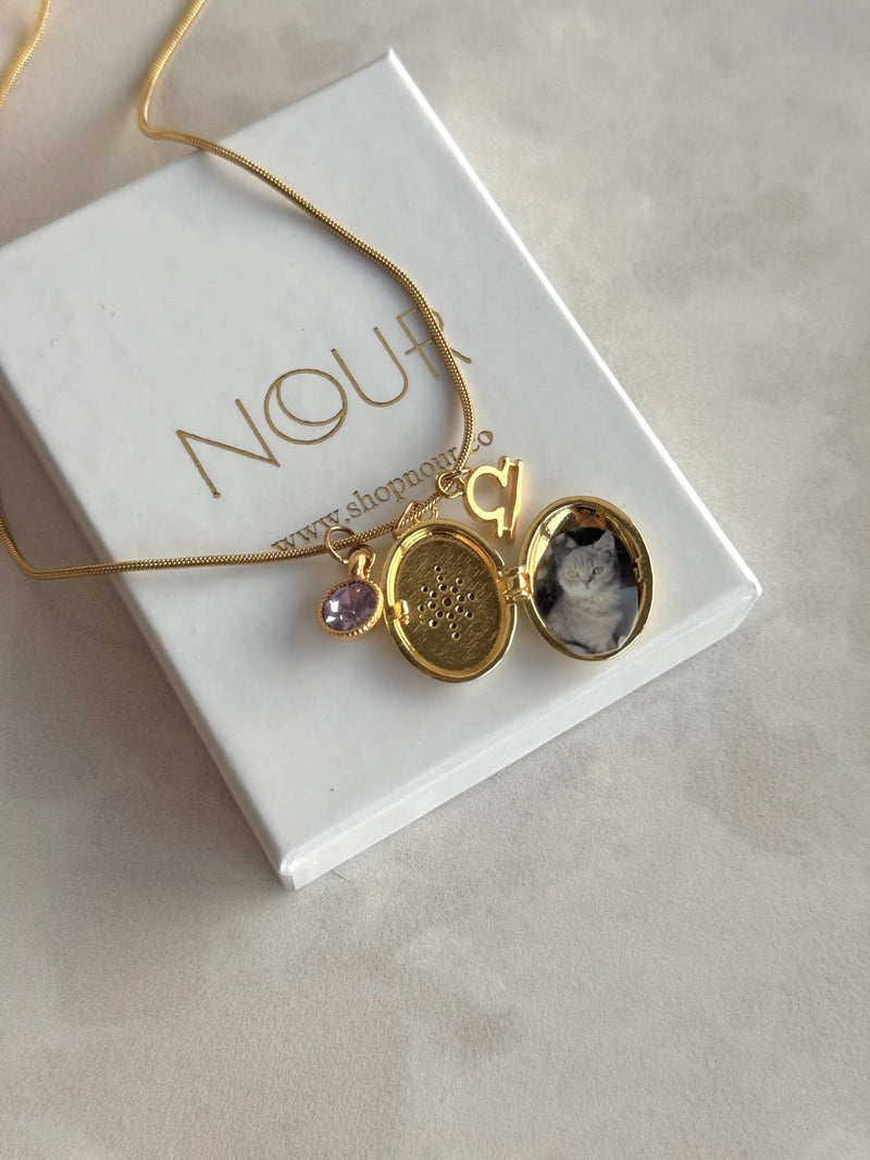 October Birth Month Zodiac Locket Necklace
