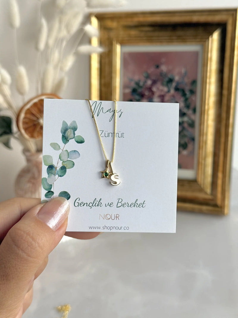 925 Sterling Silver | Mini Star Birthstone Initial Necklace