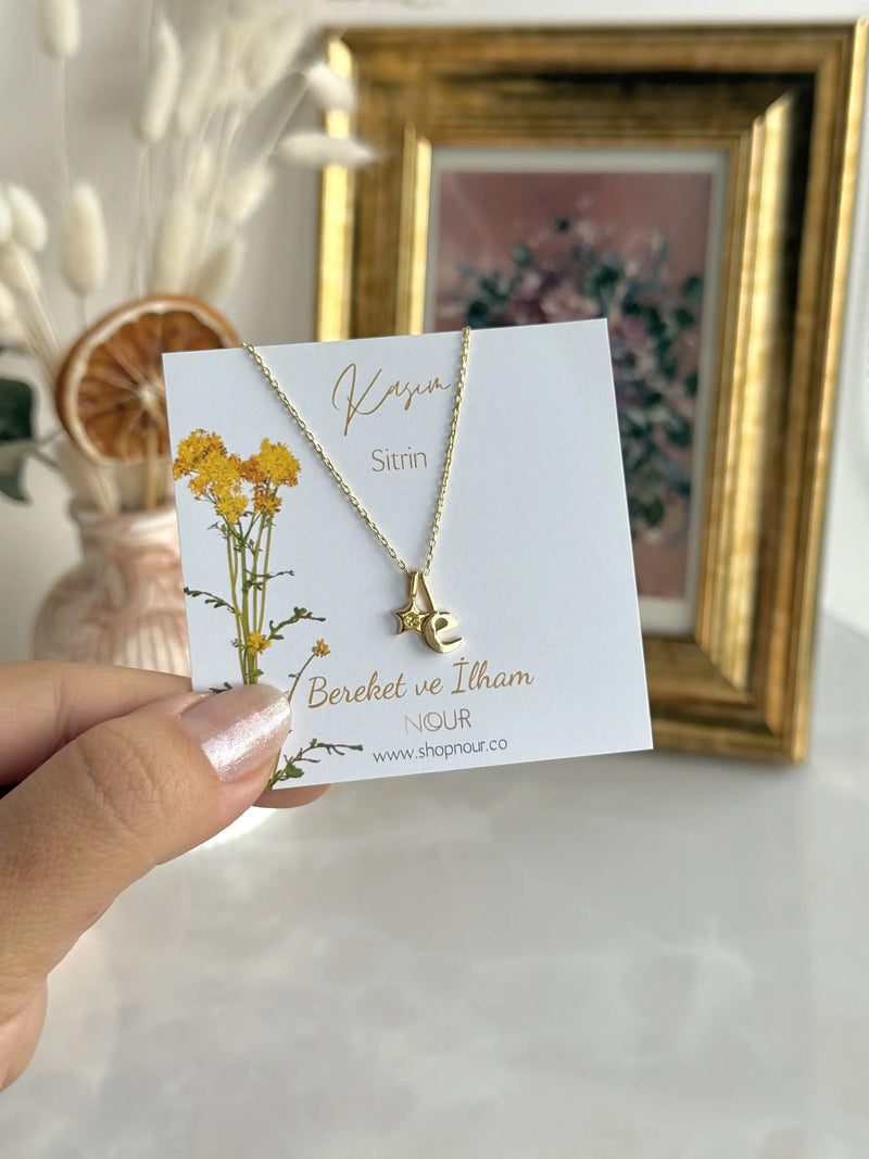 925 Sterling Silver | Mini Star Birthstone Initial Necklace