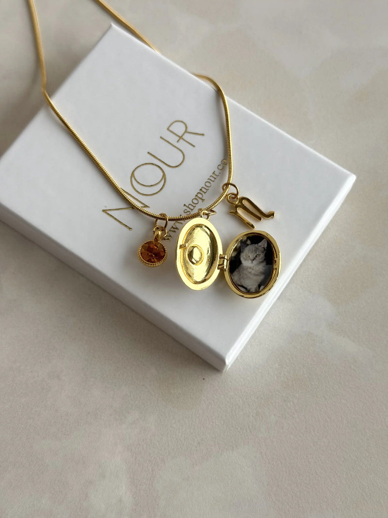 November Birth Month Zodiac Locket Necklace