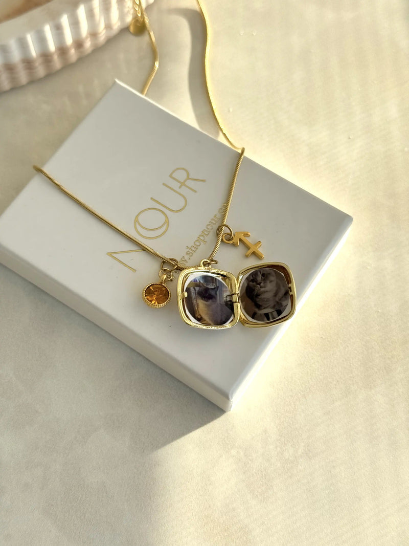 November Sagittarius Birth Month Zodiac Locket